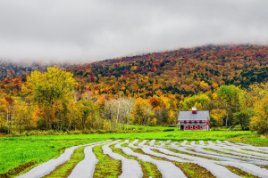 金手套与银棒奖花落谁家MLB积分榜球星数据盘点! 金手套与银棒奖花落谁家MLB积分榜球星数据盘点!